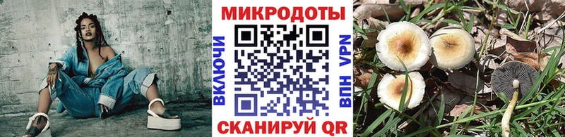 Галлюциногенные грибы мухоморы  Златоуст 