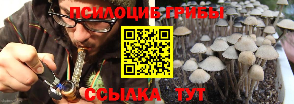 Псилоцибиновые грибы GOLDEN TEACHER  Вход с VPN  Златоуст 